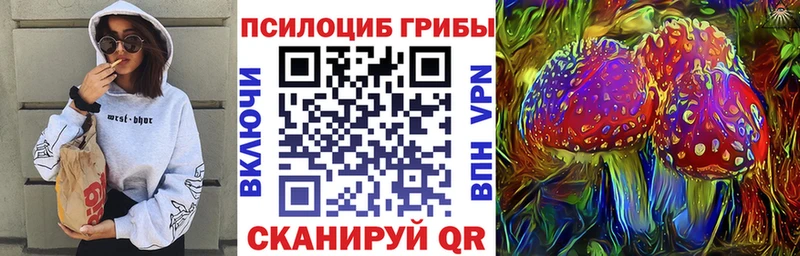 mega как войти Каменск-Шахтинский Псилоцибиновые грибы Cubensis